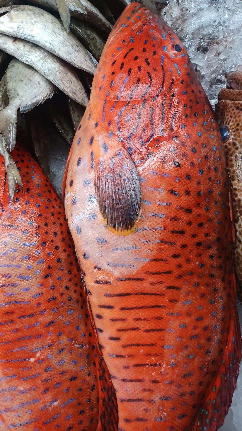 Central Fish Market