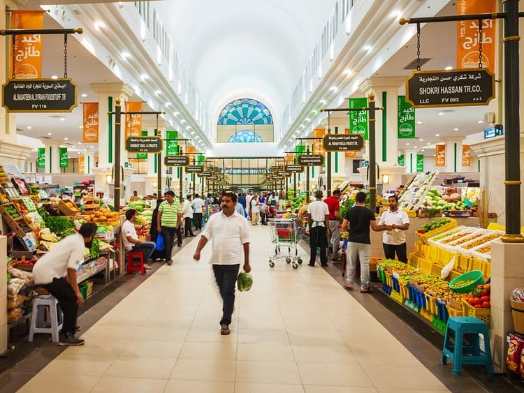 Sharjah Jubail Fish Market