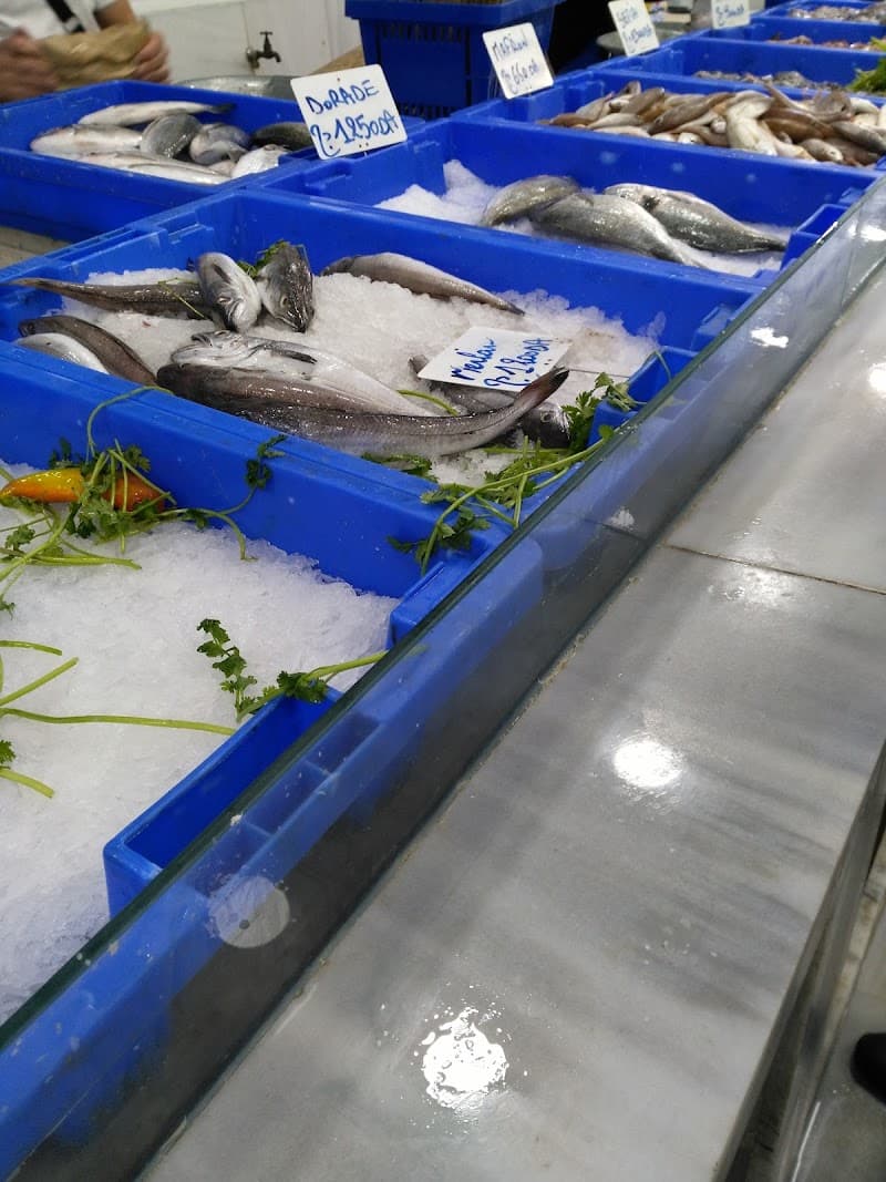 Algiers fish market
