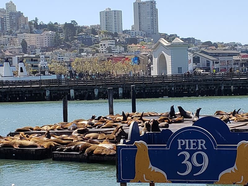 PIER 39