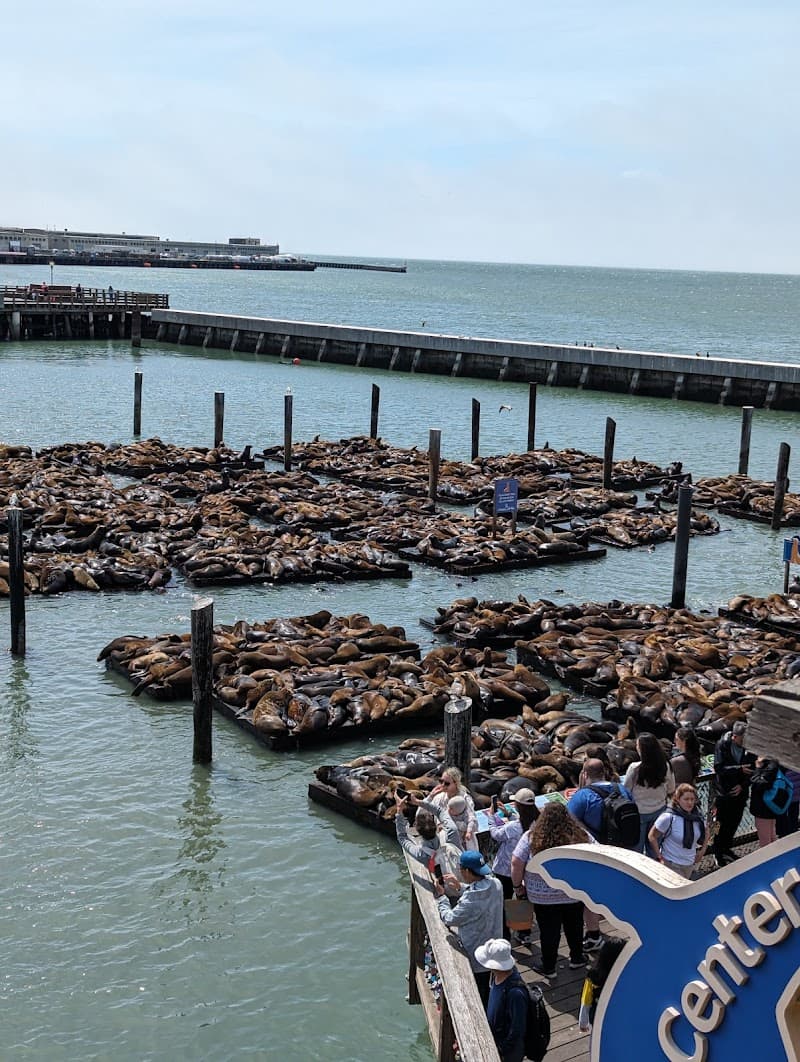 PIER 39