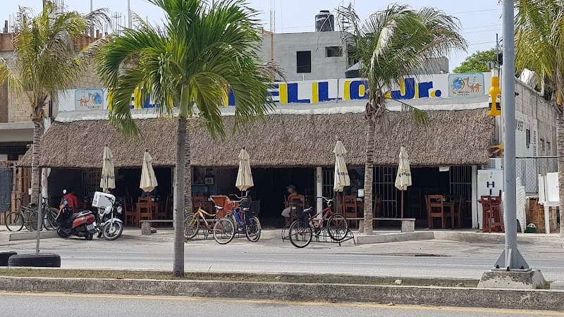 El Camello Jr.