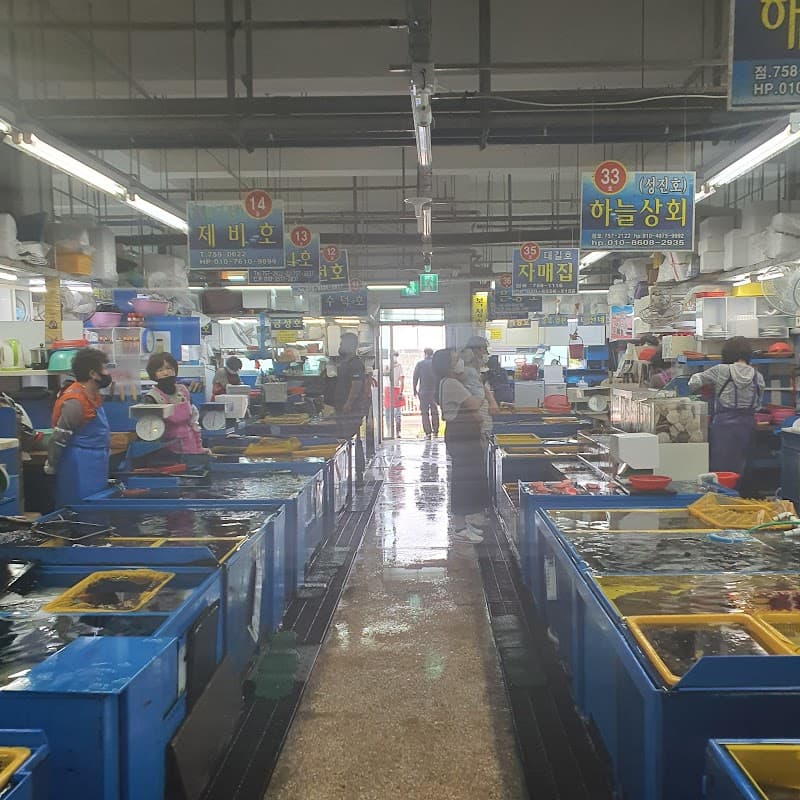 Millac Live Fish Sashimi Market