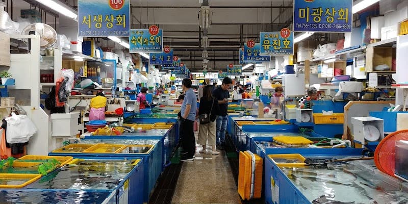 Millac Live Fish Sashimi Market
