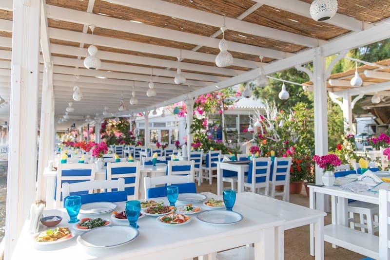 SiESTA RESTAURANT GÜMÜŞLÜK BALIK RESTORANI