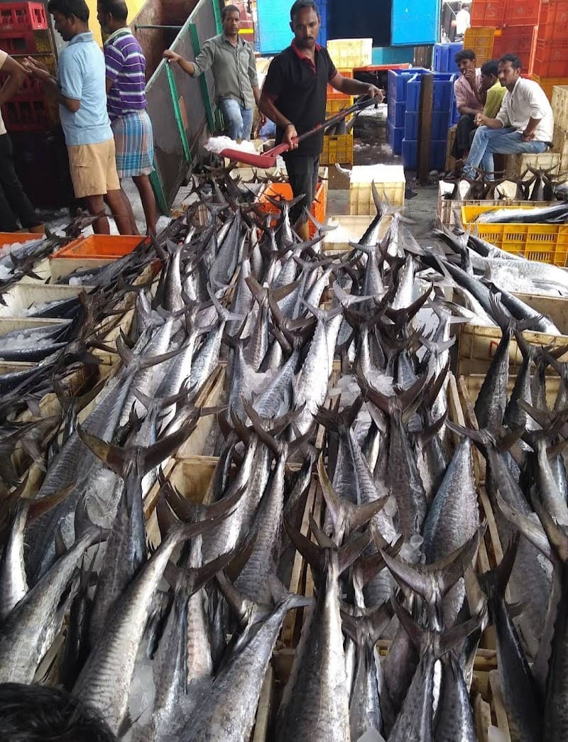 Sassoon Dock