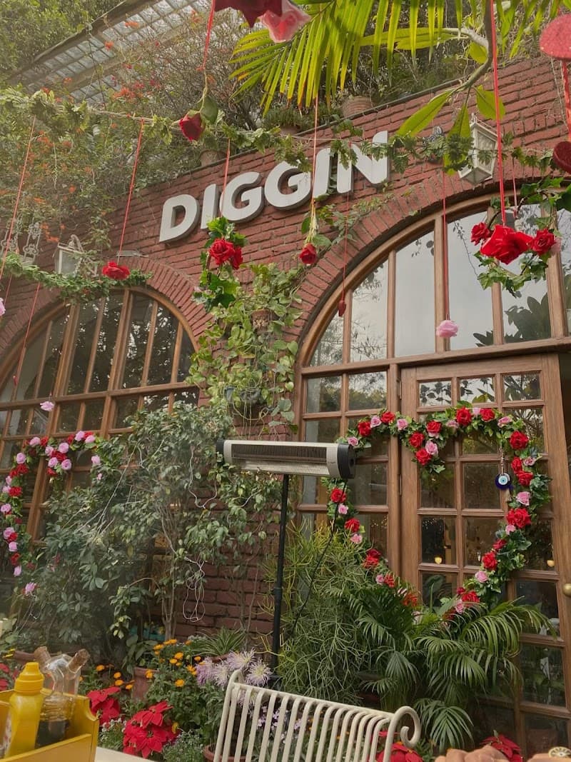 Diggin Cafe