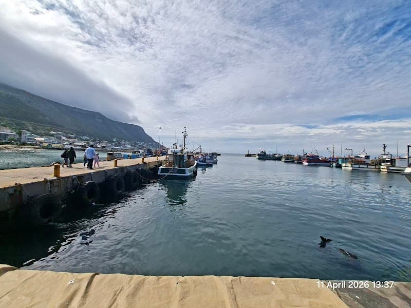 Harbour House Kalk Bay