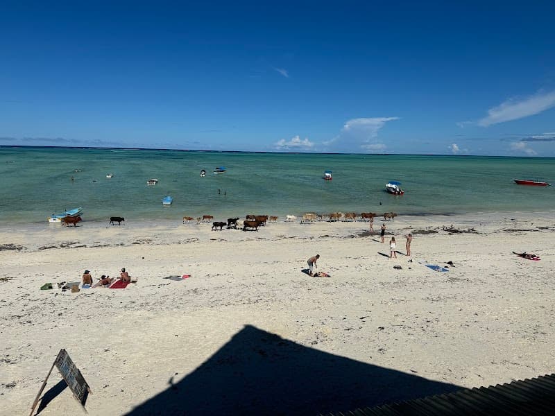 Delight Zanzibar