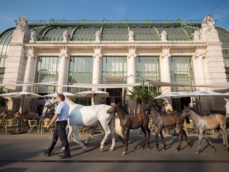 Brasserie Palmenhaus Wien